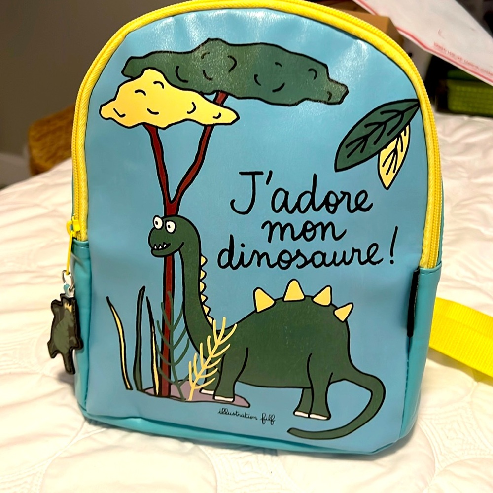 J’adore mon dinosaure! Super cute kids lunch backpack.